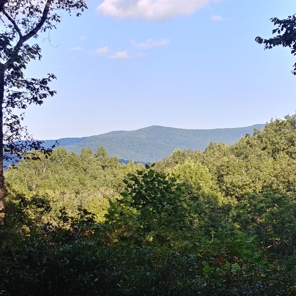 Meet your Posher, Marilyn